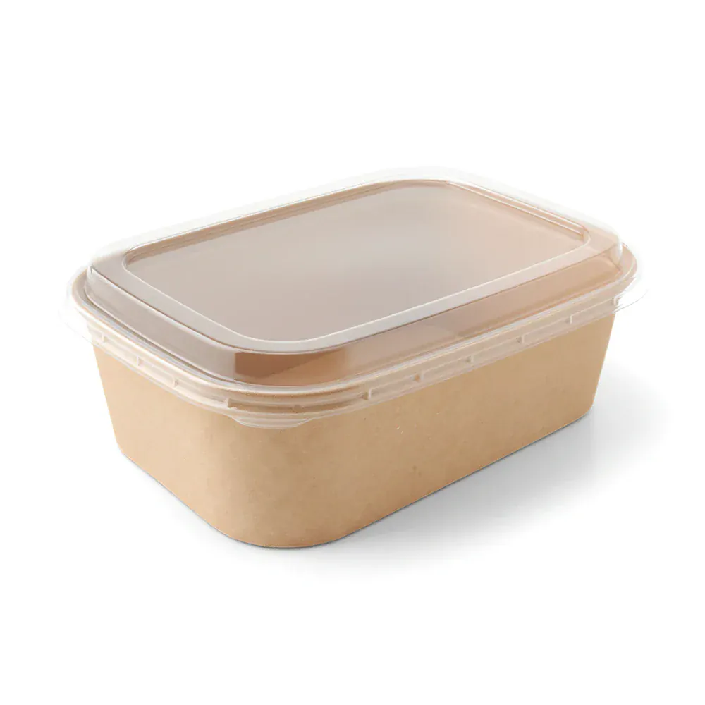 Boxes 24 Food Packaging PET Rectangular Lid - Fits 500ml, 750ml, 1000ml Rectangular Food Bowl (Pack of 300)