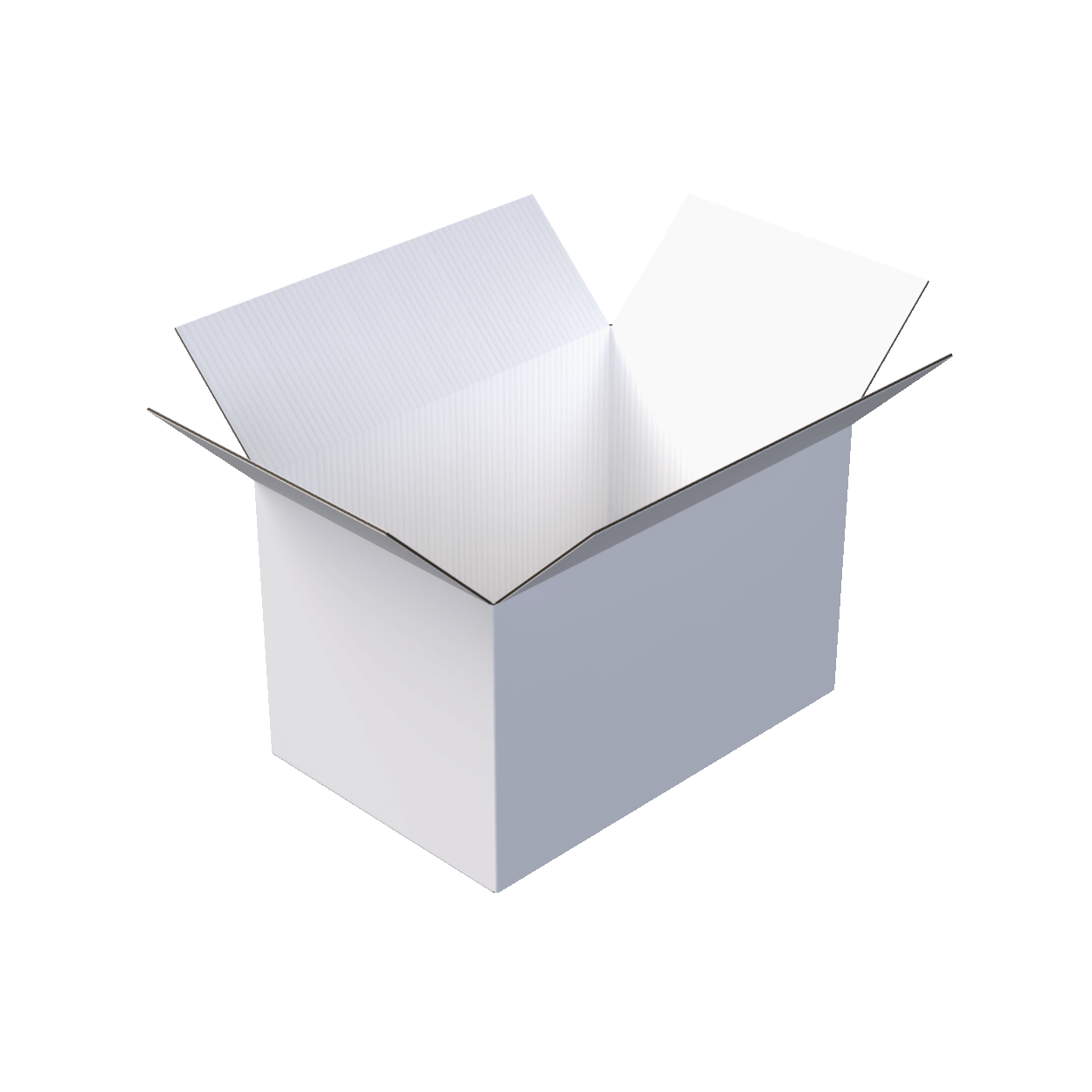 Custom Boxes - 0201 RSC White